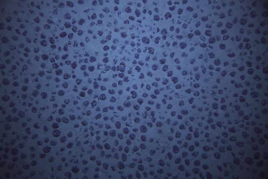 Blue photo shows hundreds of splotchy, dark blue nodules freckling the sea bed.