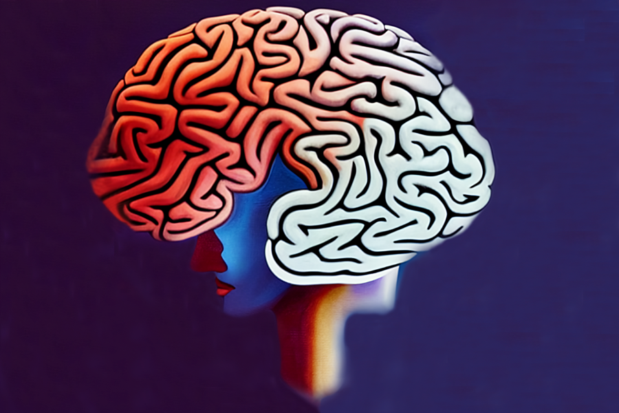 human brain front illustration