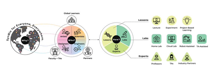 Diagram envisioning synthetic biology distance learning. At left, a global map with the words "Synbio for Everyone, Everywhere." At center, a circle labeled "Who" with artists, scientists, designers, engineers, faculty, TAs, and partners listed. At right, a circle with the word "How?" and symbols for lessons, labs, and experts