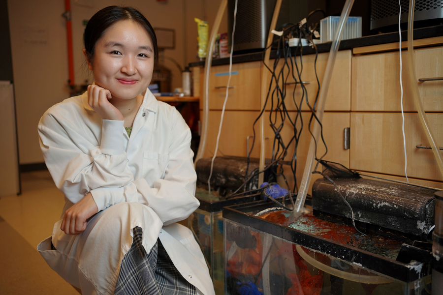Ji kneels near fish tanks filled with star fish and algae. Many black cables emerge from the tanks.