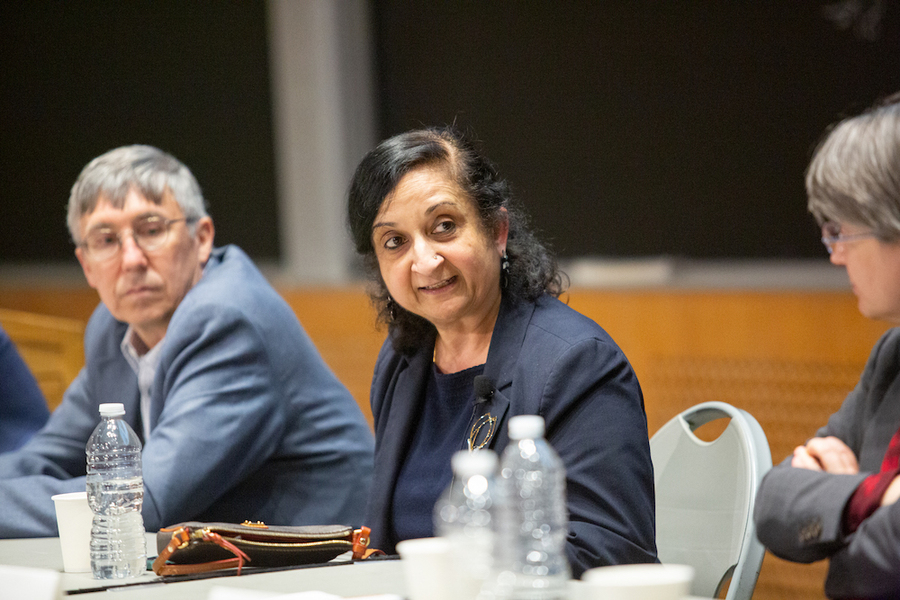 Anuradha Annaswamy speaks on a panel as two others beside her look on. There is a blackboard in the background.