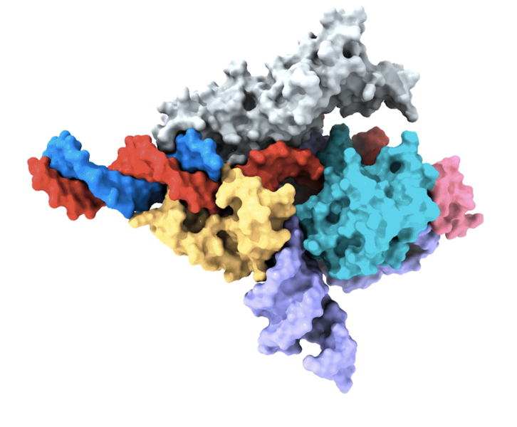 Un nou sistem asemănător CRISPR ar putea revoluționa editarea genomului
