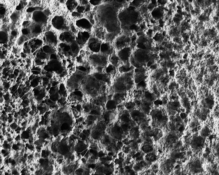 A closeup shows the craters on the surface of the hydrogel. It looks dry has a sponge-like texture.
