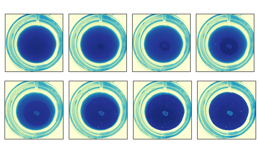 Two by four grid of images of blue material on a petri dish, showing a central blob slowly emerging in lighter blue