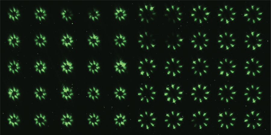 A grid shows 50 examples of the nanoLED arrays, each subtly different from the other, like fireworks.