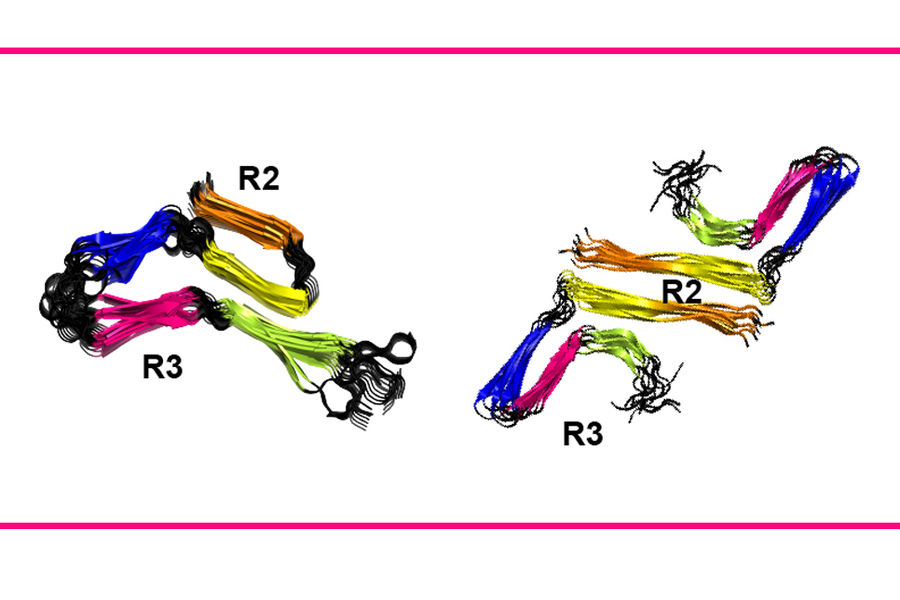 Two structures, resembling craft cords, are side by side with evenly distributed sections of orange, yellow, blue, pink and green with black in-between. Flexible segments are labeled as “R2” while rigid segments are labeled “R3”.