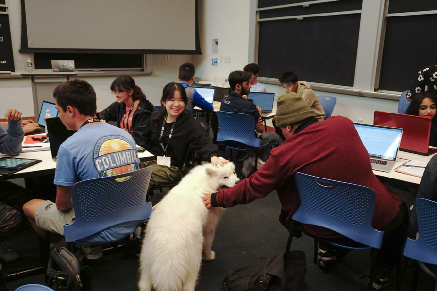About 10 students sit at tables in a classroom petting a Samoyed dog
