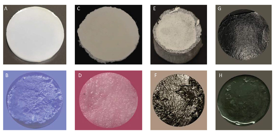 8 images show discs of hydrogels, labeled A-H. The bottom rows are very wet, and the top looks dry.