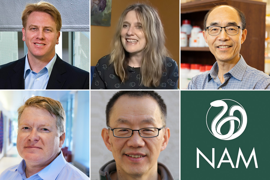 Two by three grid of headshots, plus the National Academy of Medicine logo, a coiled snake, above the letters N-A-M.