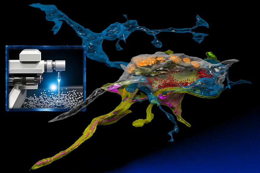 The main image is a multicolored 3D illustration of a jellyfish. On the left is an inset showing a microscope over a bunch of small circular particles. 