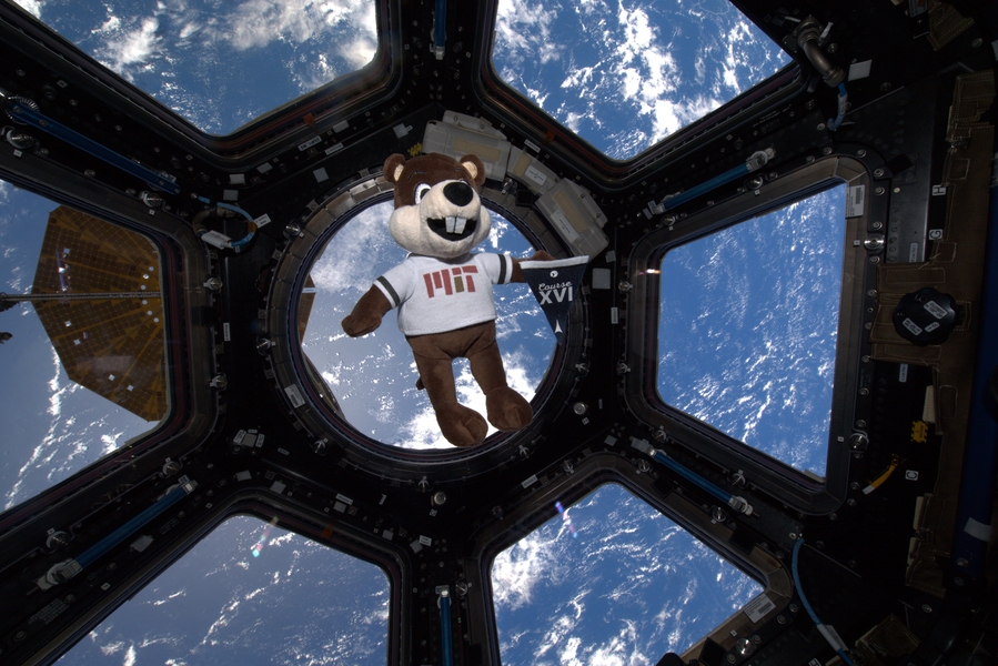 A plush Tim the Beaver doll floats in the observation cupola aboard the ISS. Earth is seen in the background