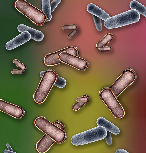 illustration of floating rod bacteria in two different colors