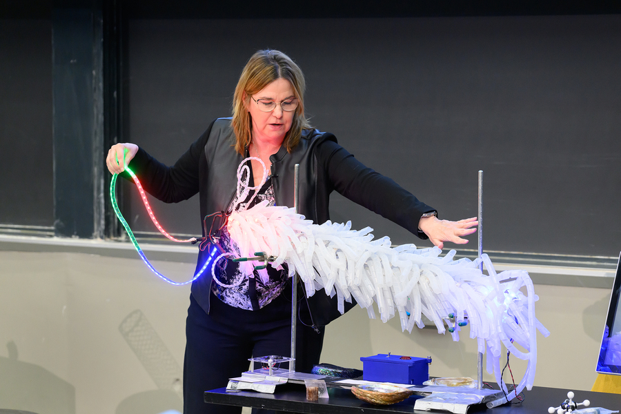 MIT Professor Angela Belcher pulls a flexible rope of LED lights, representing DNA, out of a light-up model of M13 bacteriophage