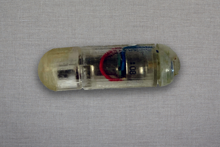 Engineers develop a vibrating ingestible capsule that might help