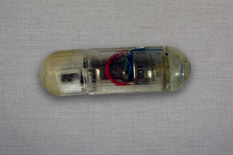 A small ingestible capsule