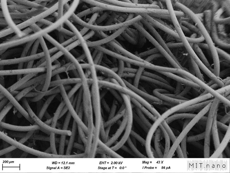 Velcro, seen through scanning electron microscope, looks like an assortment of strings