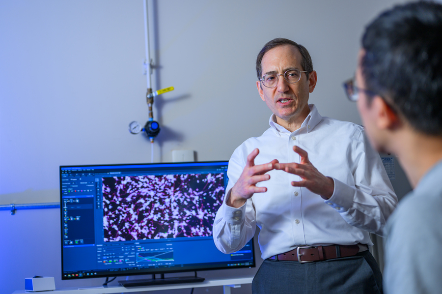 Ernest Fraenkel stands before a computer monitor that displays an image of what looks like microscopic cells. He is speaking with someone who is mostly obscured off camera