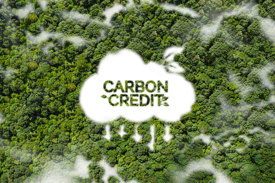 Carbon credit written in the clouds over a lush green forest