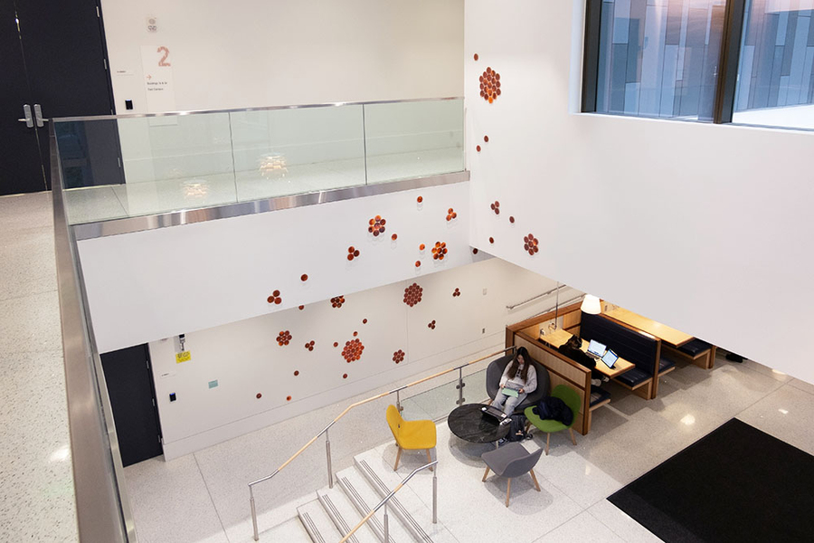A photo looking down from a mezzanine into a building lobby, with a series of small glass petri dishes containing brightly colored circular images scattered on the walls.