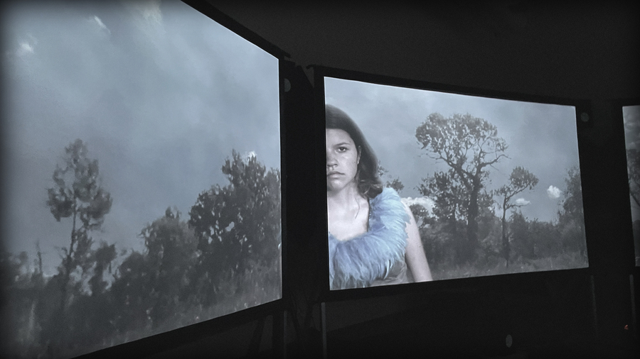 Illustrated girl in front of a nature scene projected over two large screens