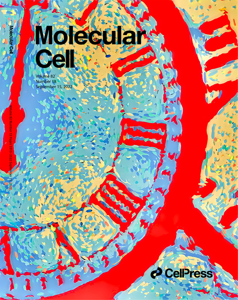 A pointilism illustration of a clockface on a journal cover
