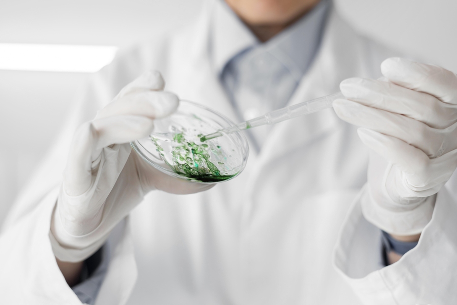 View of the torso of a woman wearing a white lab coat and gloves in a lab holding a petri dish with green material oozing in one hand and a small pipette in the other hand