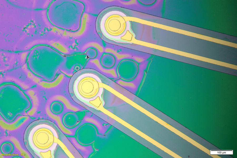 topics for research in ultrasound Closeup microscopic view of a device focusing on 3 golden prongs emanating from a purple circular shape against a green backdrop