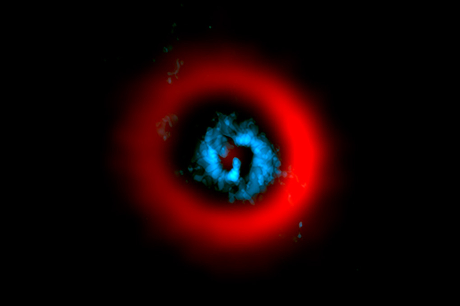 Against the black of space the star AB Aurigae has a spiraling, lobed blue center with a fuzzy red ring surrounding it.