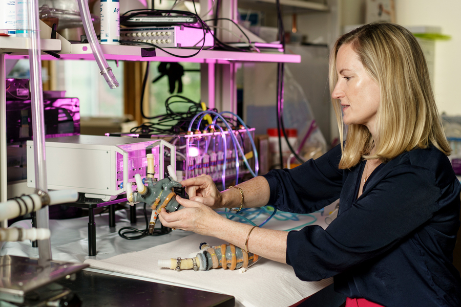 Ellen Roche holds a heart model in her lab filled with equipment.