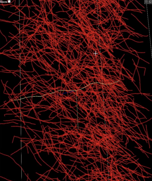Screenshot of NeuroTrALE software shows hundreds of neuron filaments in red and one neuron highlighted in yellow.