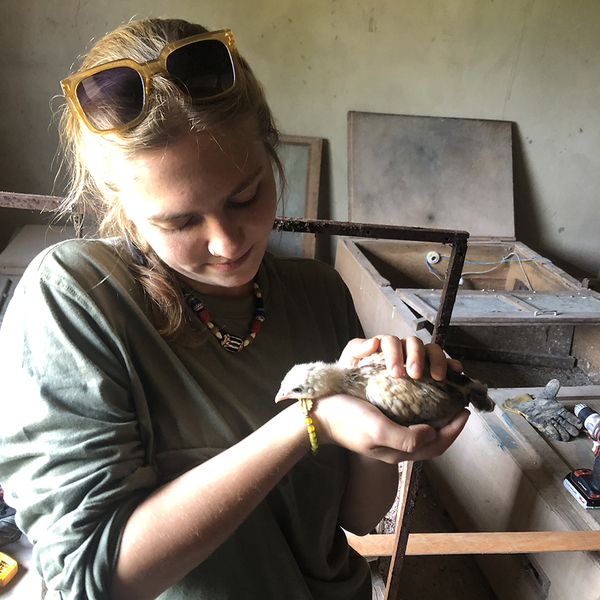 Kristine Januskaite holds and looks at a baby chicken