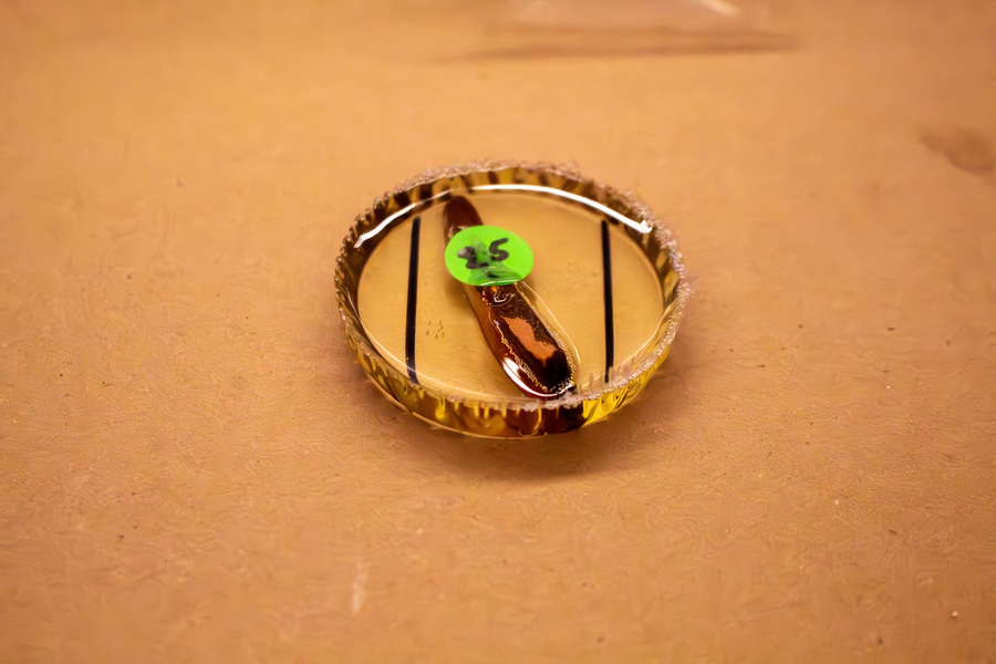 A small pottery sample set in a circular mold of epoxy with black lines along the sides.