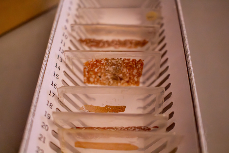 Finished petrographic thin sections of pottery sit in a storage box at MIT.