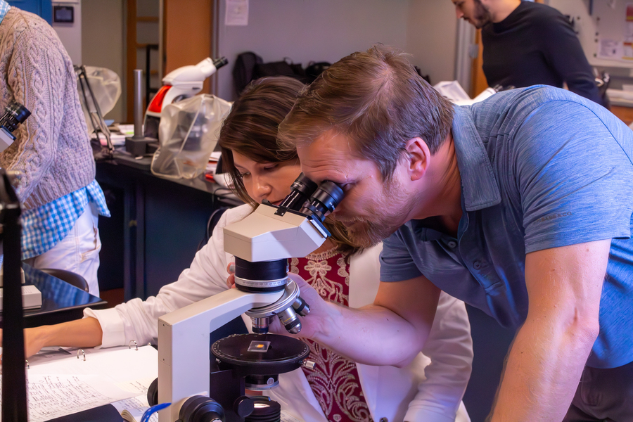 An MIT instructor looks into a student's binocular microscope, helping her identify minerals in a petrographic thin sample.