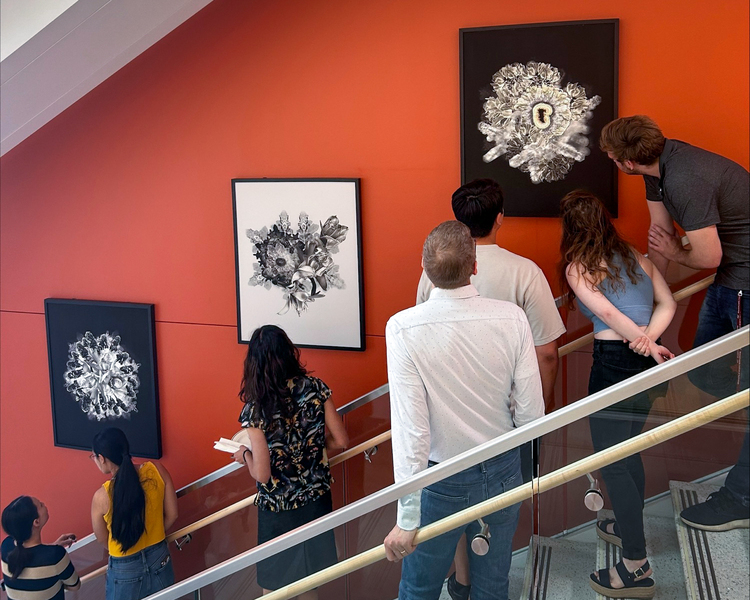 People seen from behind stand on a staircase in front of a red wall viewing three framed photographs.