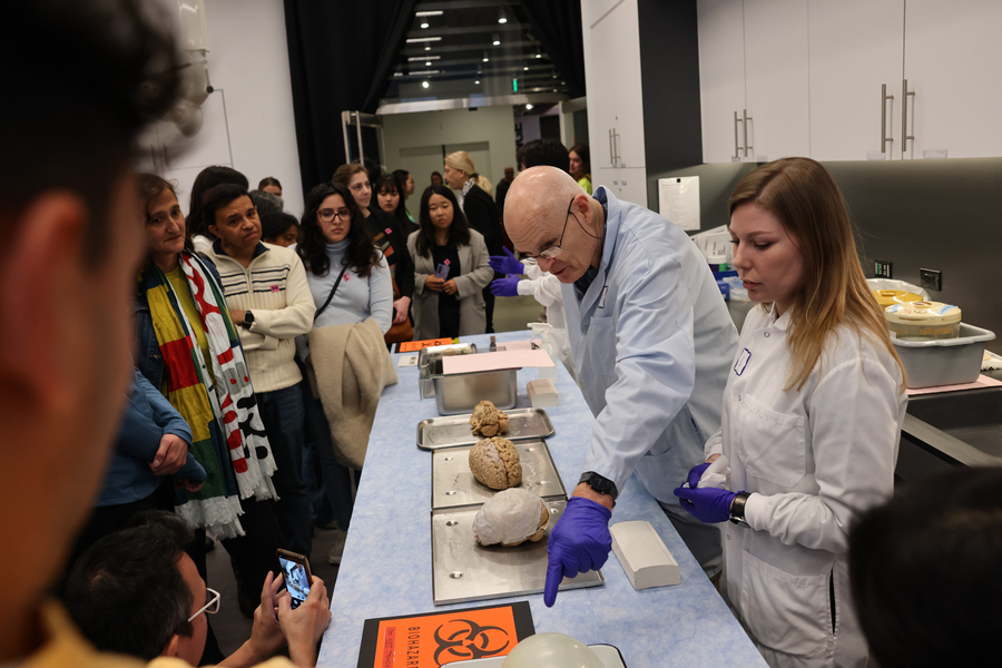 Two scientists in white coats display and discuss brains of humans, sheep, and mice