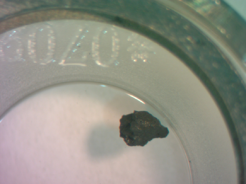 A tiny black fragment of meteor in a petri dish.