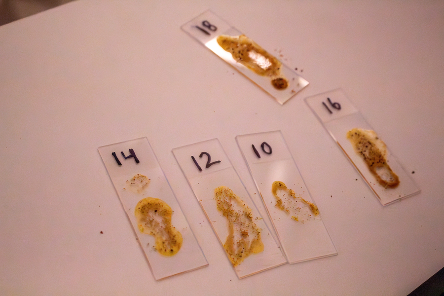 Slides containing coffee grounds lie on a table