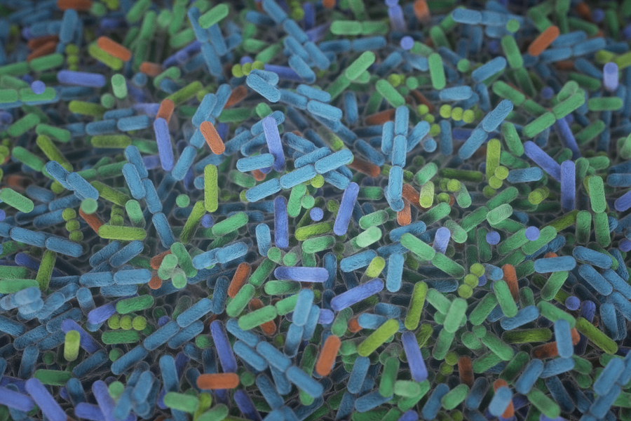 Bacteria in the human gut rarely update their CRISPR defense