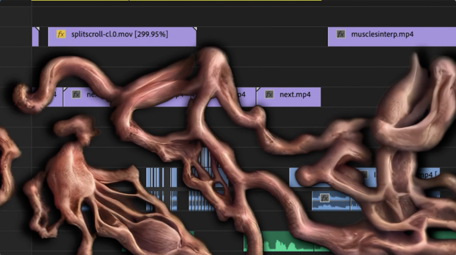 A close-up shot of a video editing interface displaying various video clips and sound files, with a surreal, fluid animation of organic, body-like shapes overlaid in the center of the frame.