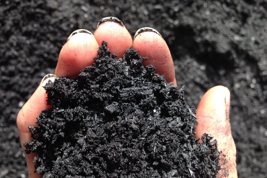 Hand holds a sample of biochar, which looks like a dark black soil