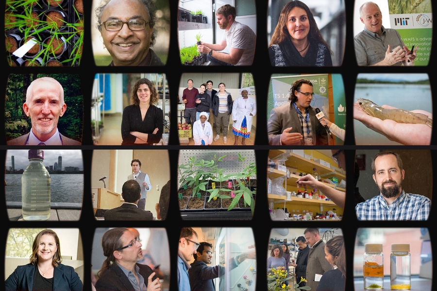 5 by 4 photo grid featuring researcher headshots; pics of researchers giving presentations or lab tours, working with students, and working with people in the field; along with other water and food images like water in jars, crop plants in a lab, and a hand holding a shrimp