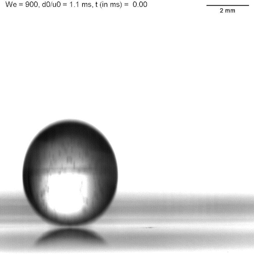 Video of a splashing droplet