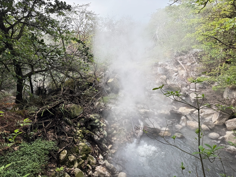 Photo of a forest with a rocky inlet stream that has white mist flowing up in the air and bubbles in the water below