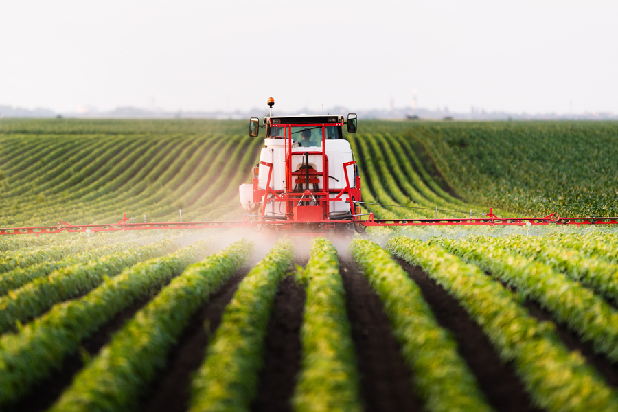 A tractor pulls an irrigation system across rows of crops
