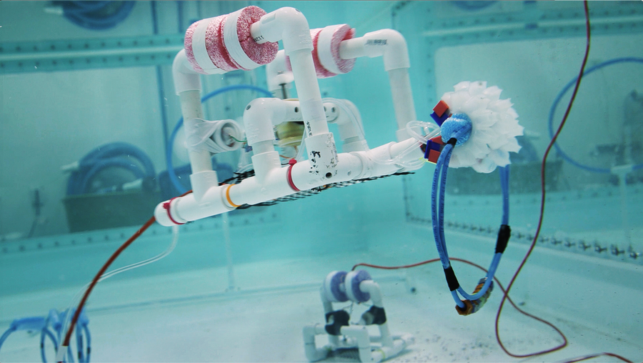 A underwater device made of PVC pipe with a gripper module maneuvers in a 3,000-gallon water tank.