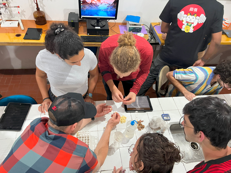 overhead photo of students conducting a chemical analysis on a white tile table
