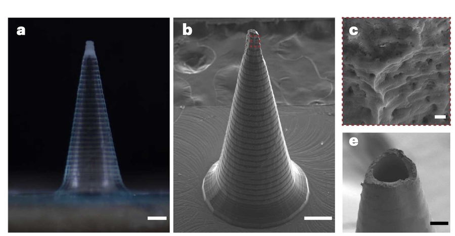 Four views of the microneedle including the texture and opening of the microneedle.