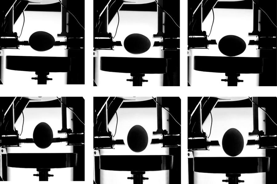 Two by three grid of greyscale images of an egg in a machine. In the top three, the eggs are positioned horizontally; in the bottom three, vertically.
