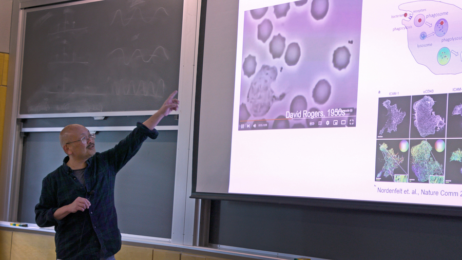 Peter So points to information on a screen at the front of a classroom
